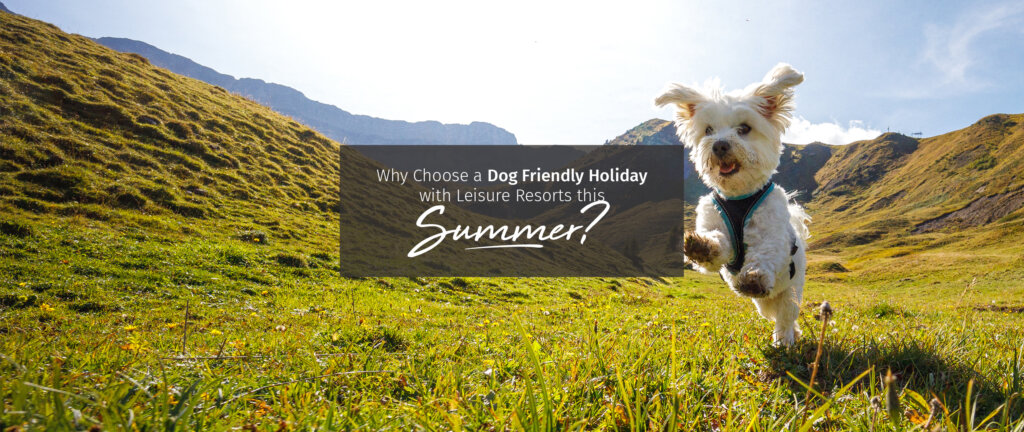 Why choose a dog friendly holiday with Leisure resorts this summer