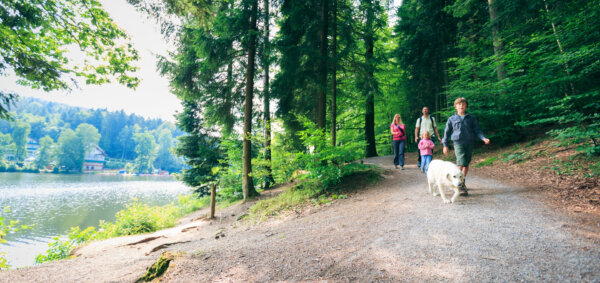 family walking a dog by a lake