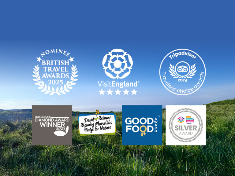 Award-Winning Standards