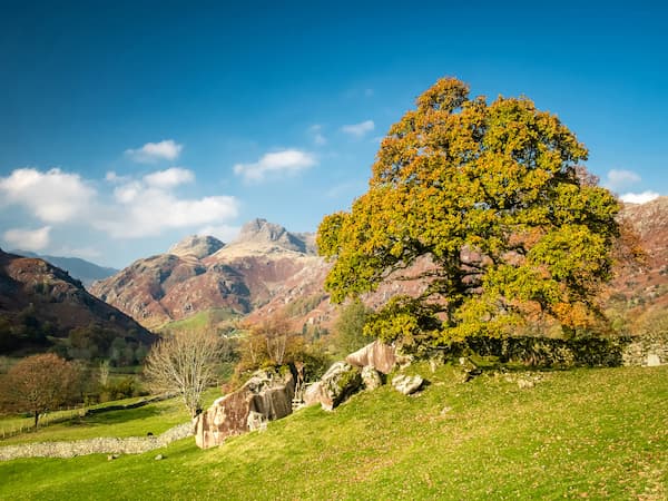 Wild swimming in a clear Lake District lake