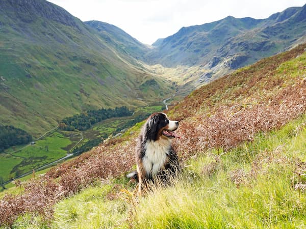 Outdoor pub terrace in the Lake District